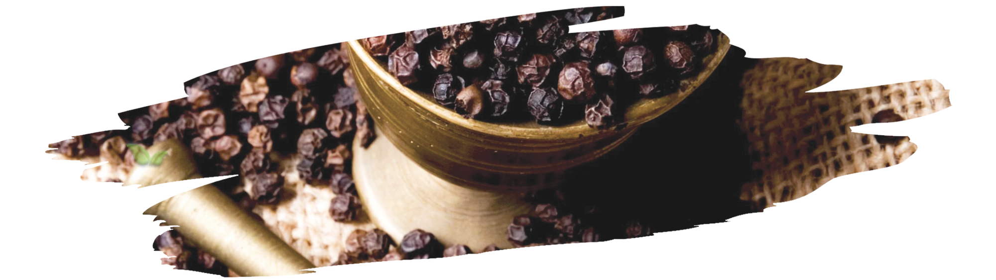 harvesting process of black pepper showing how peppercorns are collected and dried