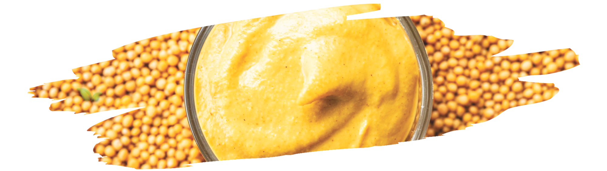 close up of yellow mustard spread and seeds used in cooking and seasoning
