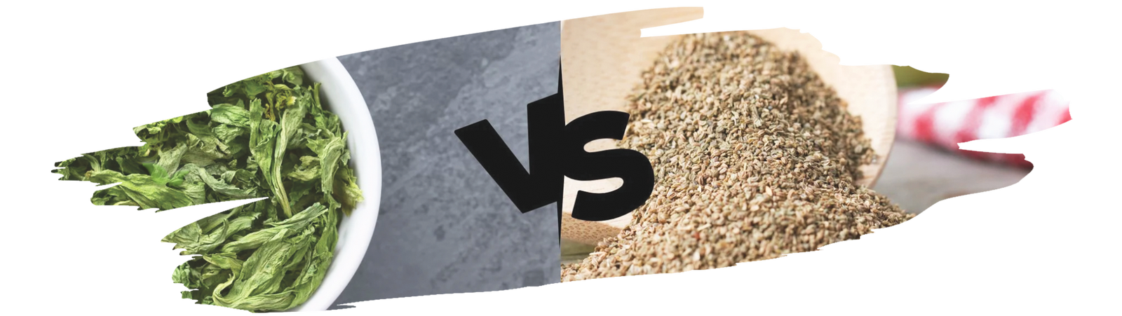 Comparison of whole celery seeds and dried chopped celery used for seasoning