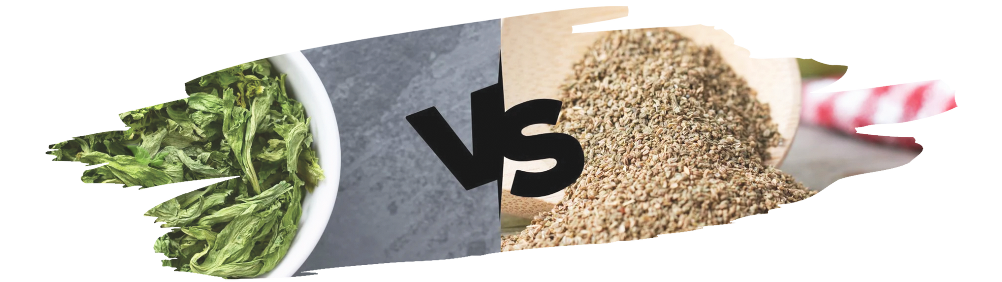 Comparison of whole celery seeds and dried chopped celery used for seasoning