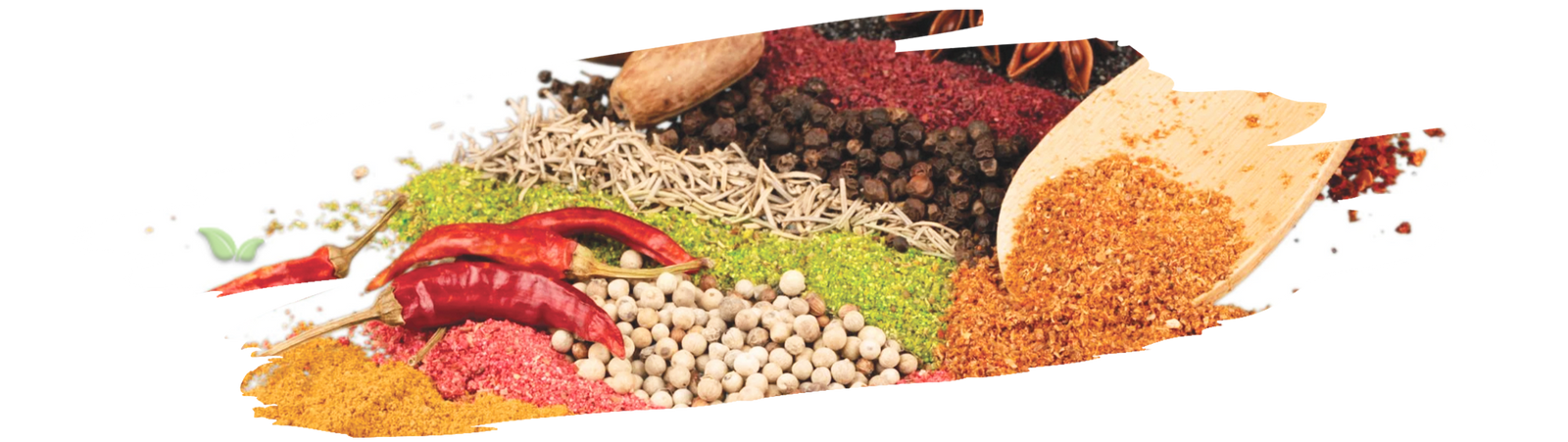 Cook measuring ground spices and herbs with spoon over mixing bowl in kitchen