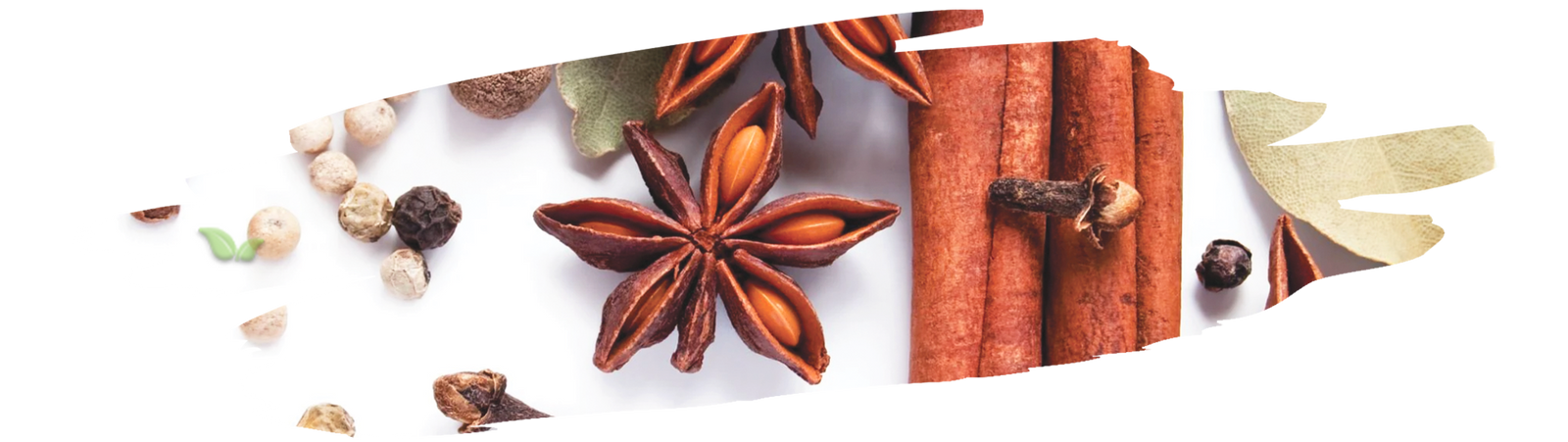 Comparison of whole spices and blended seasonings arranged on kitchen counter