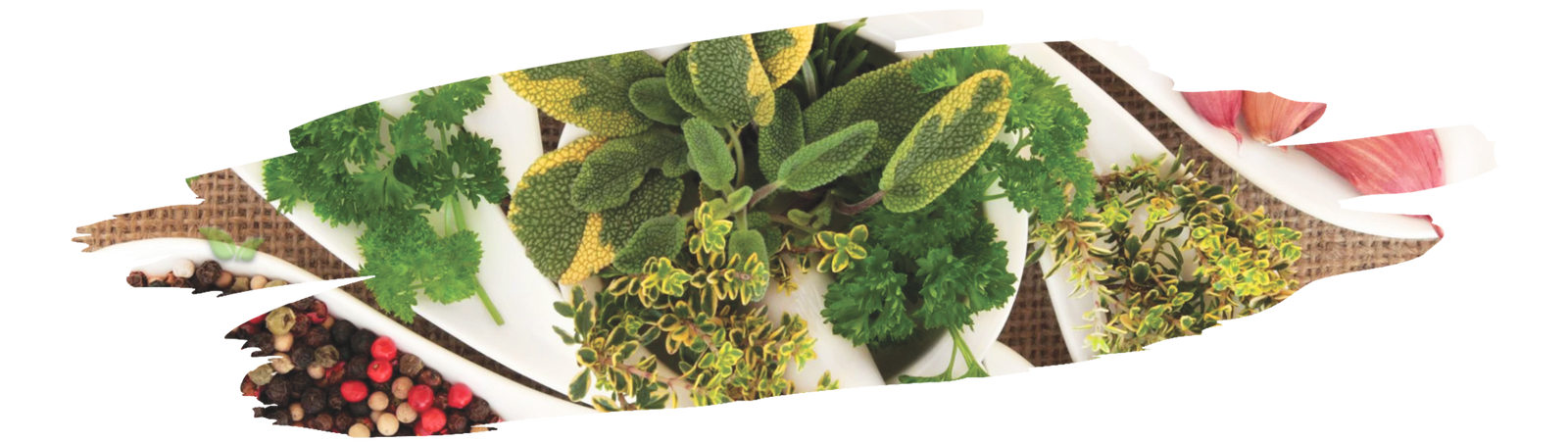 Colorful collection of global spices and seasonings showing the variety used in cooking