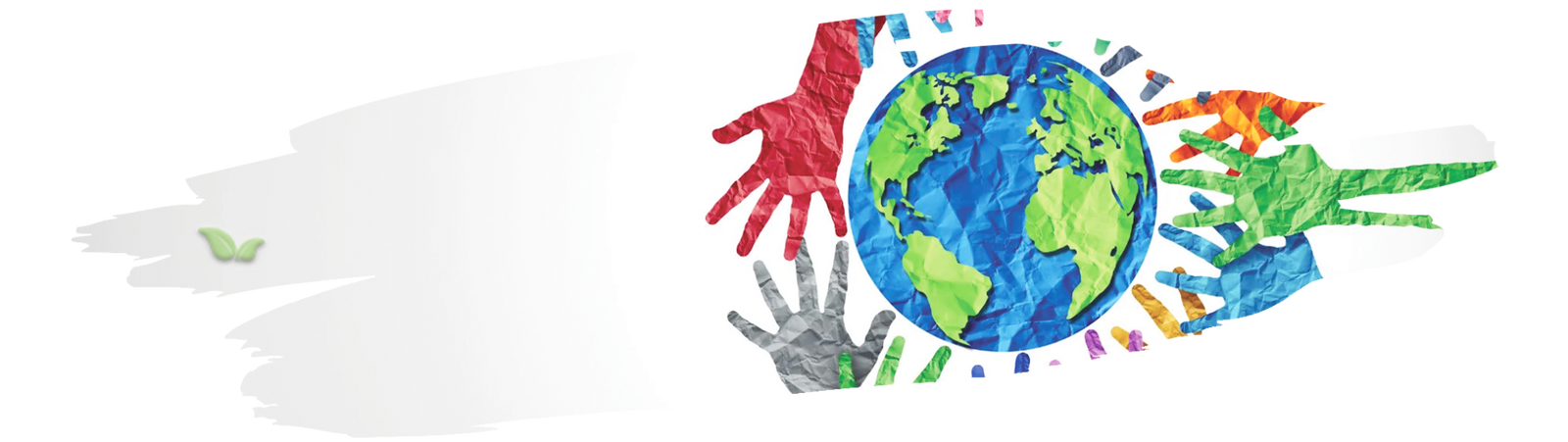 Chefs from different countries preparing dishes using unique seasoning styles from their cuisines