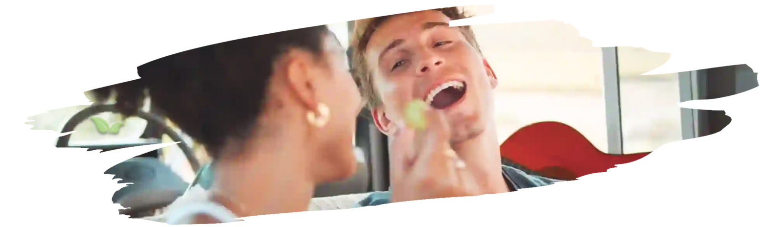 Packed snack containers with fresh fruits and trail mix ready for travel