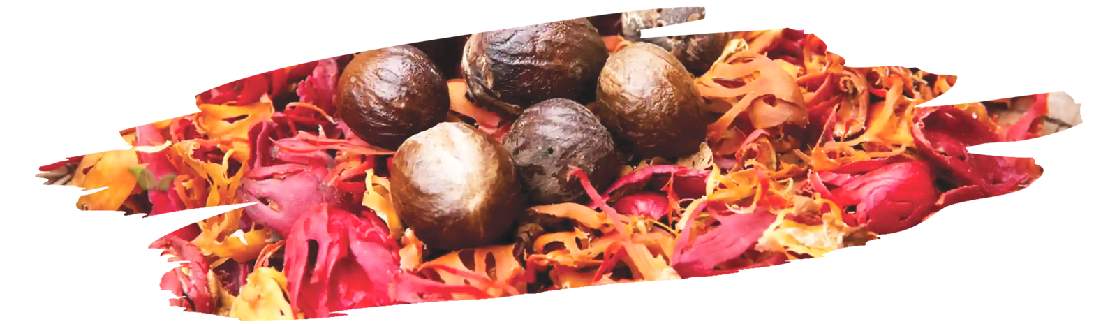 Close-up of dried mace spice used for baking and savory dishes