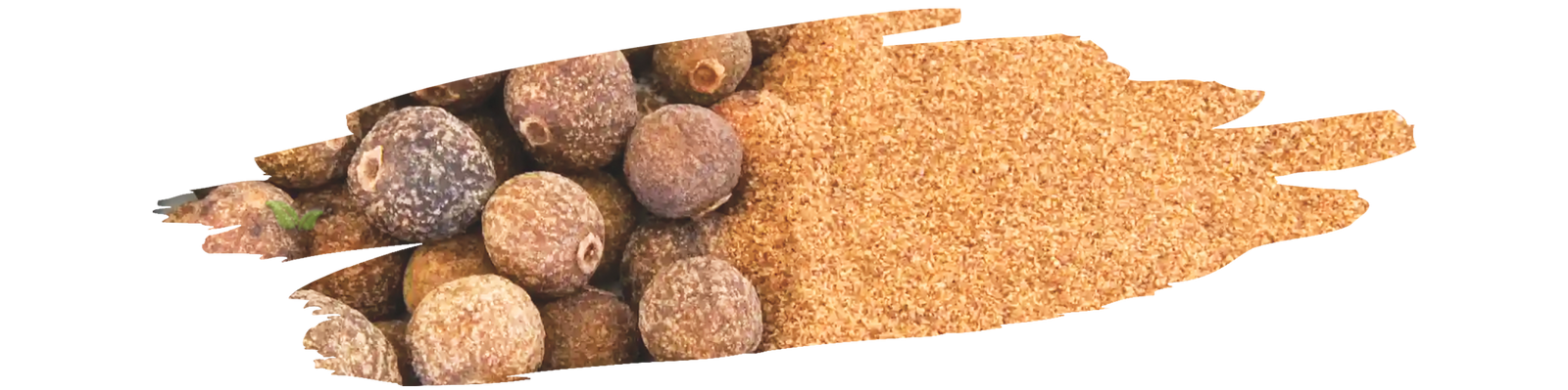 Ground allspice in spoon surrounded by whole allspice berries on wooden surface