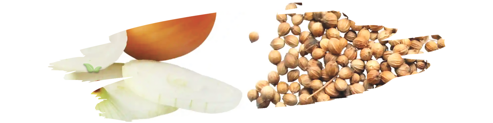 Comparison of chopped onions and fresh coriander used as garnish in cooking
