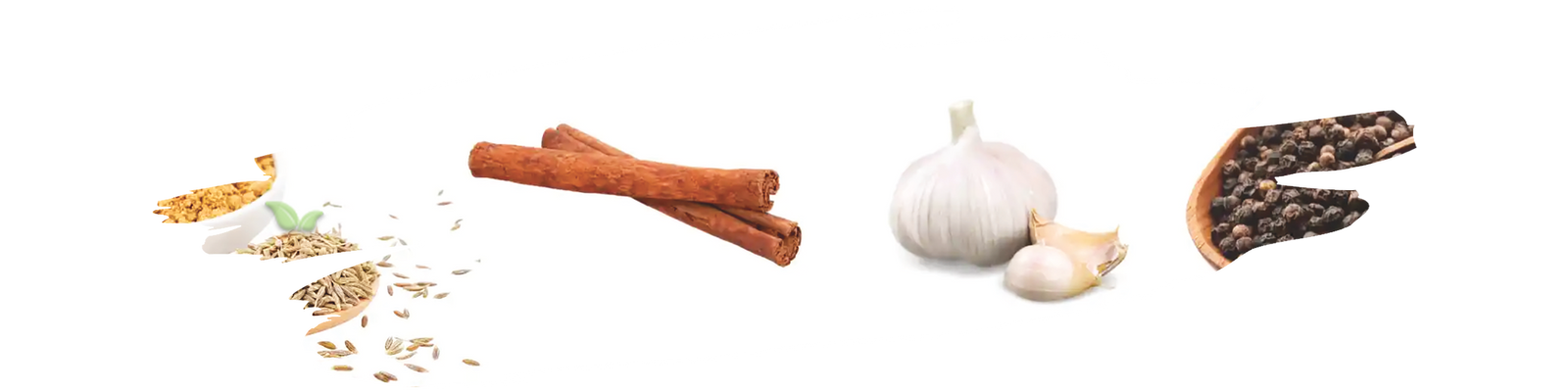 Variety of colorful ground spices displayed on wooden spoons for cooking essentials