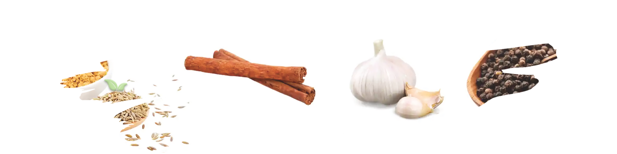 Variety of colorful ground spices displayed on wooden spoons for cooking essentials