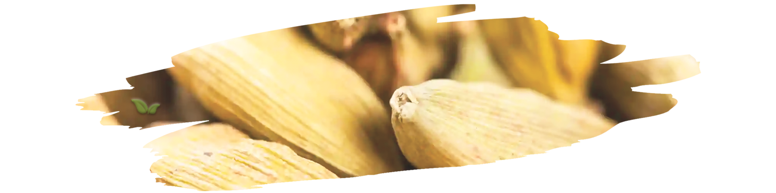 Barista adding cardamom powder to cup of coffee for aromatic flavor