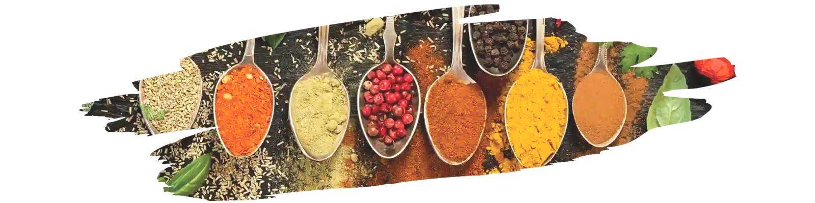 Collection of common and exotic spices and herbs used in global cuisines.