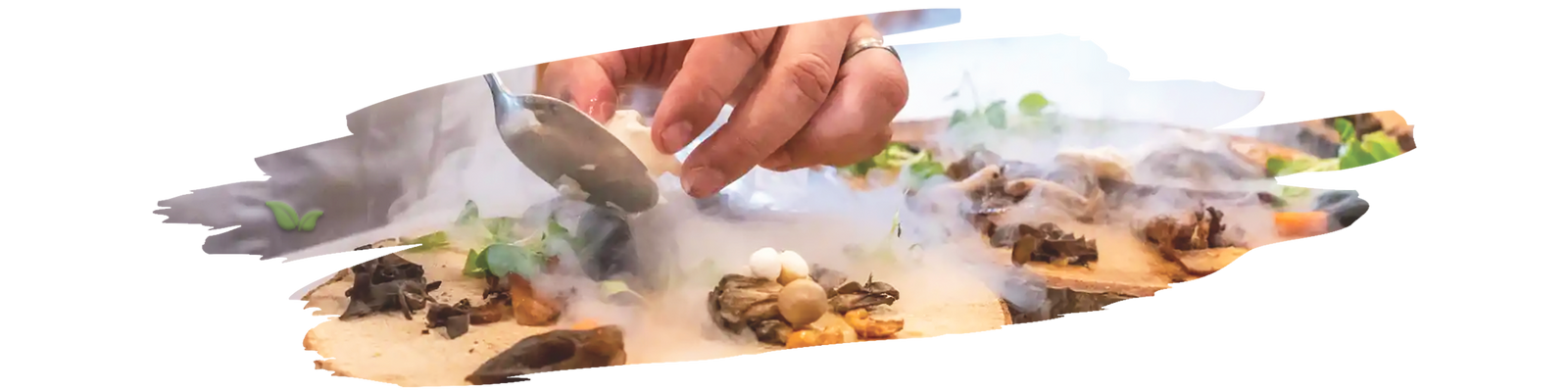 Variety of spices and fresh herbs used to add rich flavor to gourmet dishes.