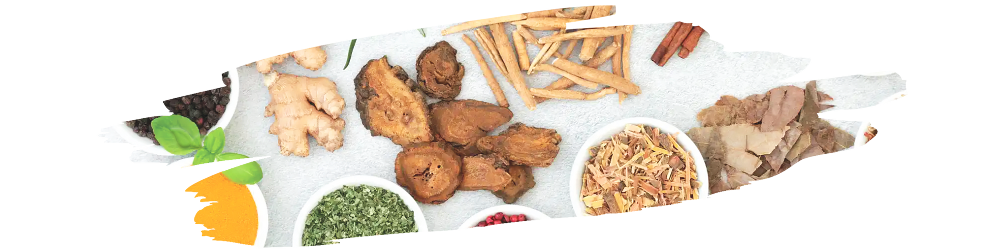Collection of powerful spices known for their health benefits and antioxidant properties.