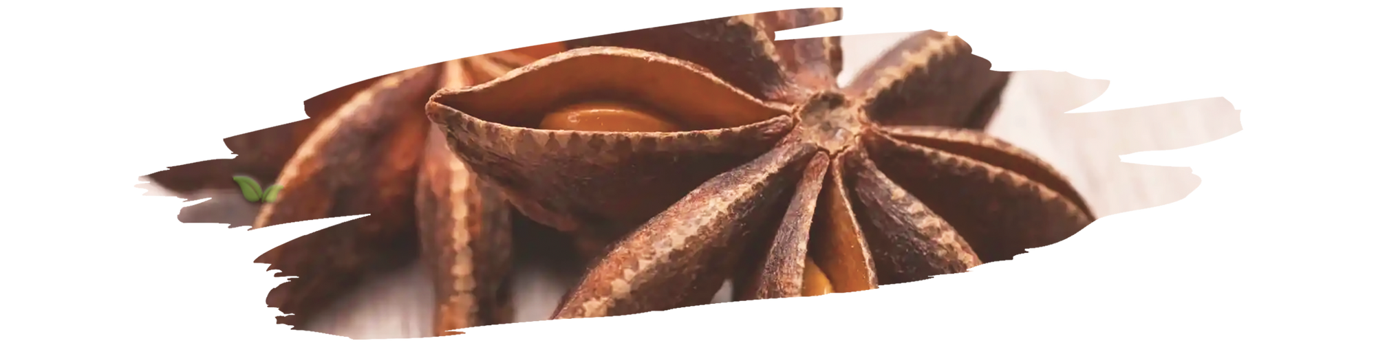 Cooking scene with anise spice added to soups, baked goods, and marinades.
