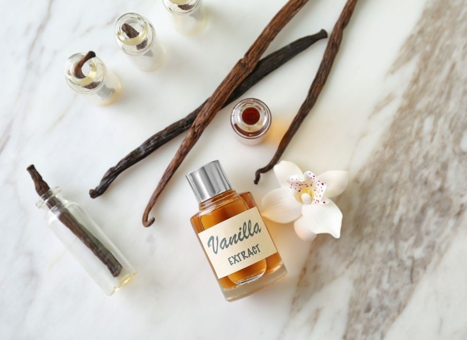The History of Vanilla: From Ancient Mesoamerica to Modern Desserts