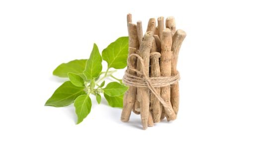What is Ashwagandha?