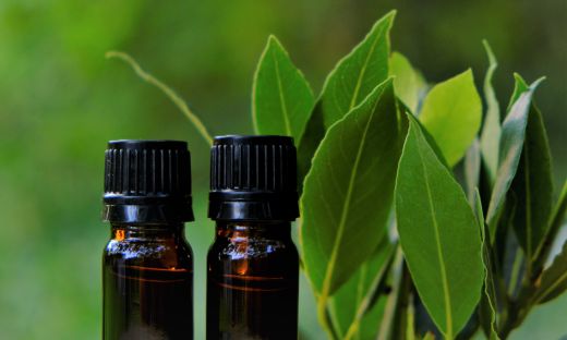Bay Leaf Oil