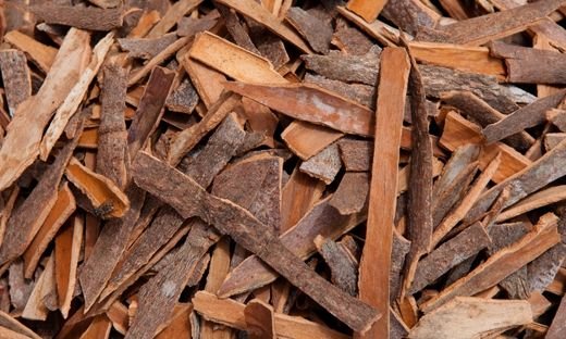 where we can find best cinnamon?
