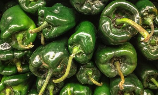 How to Grow Your Own Ancho Peppers