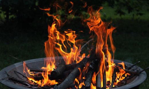 The Ultimate Guide to BBQ Woods: Which Wood is Best for Smoking Meat?