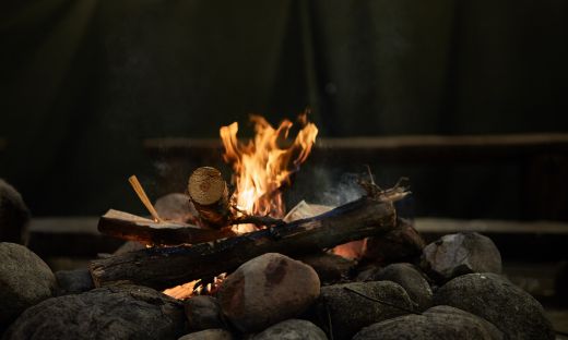 What is Oak Wood Which is Used by Pitmasters