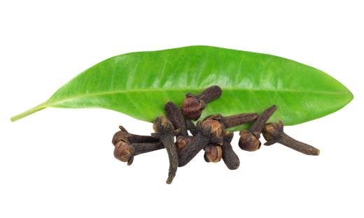 The History and Origin of Cloves: Unveiling the Aromatic Spice