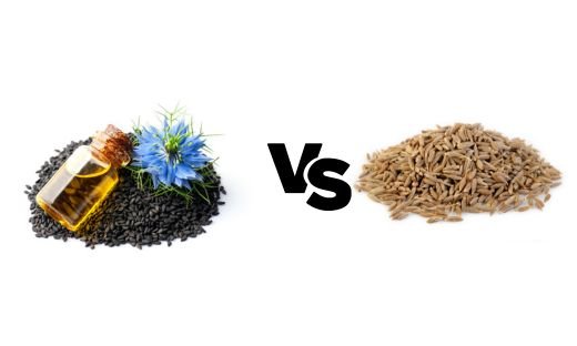 The Differences Between Cumin and Black Cumin: Unveiling Their Unique Qualities
