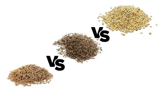 The Differences Between Cumin, Caraway, and Coriander: Unveiling Their Unique Flavors