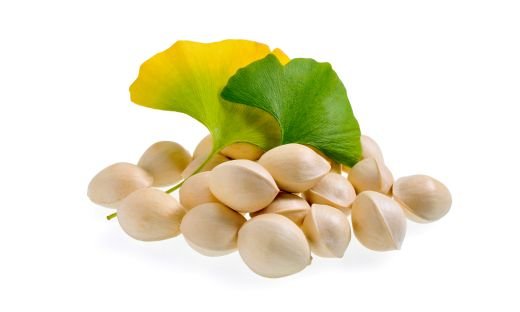 Ginkgo Trees and Their Significance in Asian Cultures