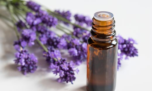 How to Make Your Own Lavender Essential Oil at Home
