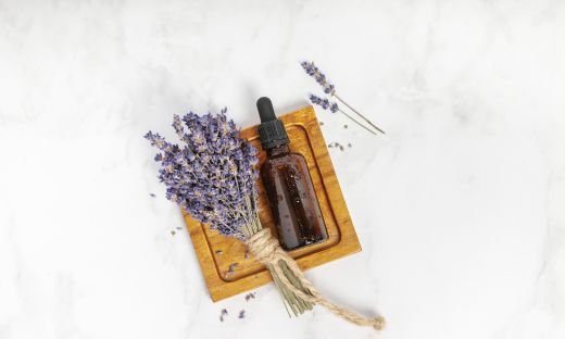 Lavender as a Pest Repellent in Gardens