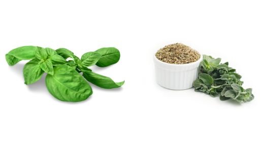 Basil vs. Oregano