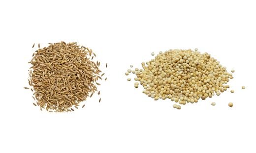 Cumin vs. Coriander