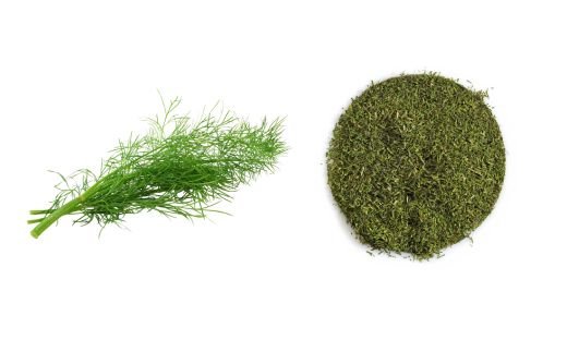 Fresh Dill vs. Dried Dill