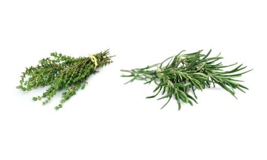 Thyme vs. Rosemary