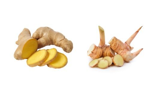 Ginger vs. Galangal