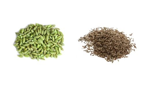 Fennel Seeds vs. Caraway Seeds