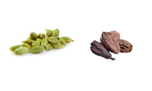 Green Cardamom vs. Black Cardamom
