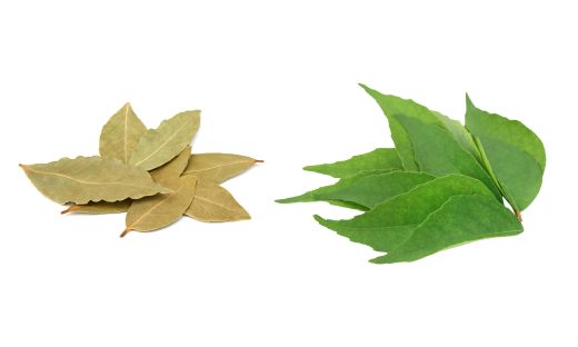 Bay Leaves vs. Curry Leaves