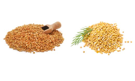 Fenugreek vs. Mustard Seeds