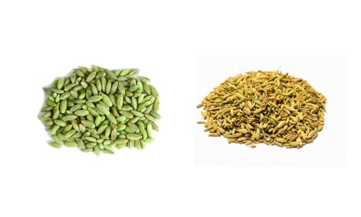 Aniseed vs. Fennel Seeds