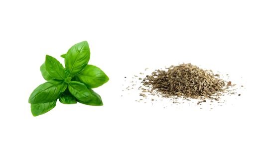 Dried Basil vs. Fresh Basil