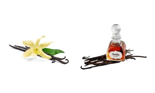 Vanilla Bean vs. Vanilla Extract