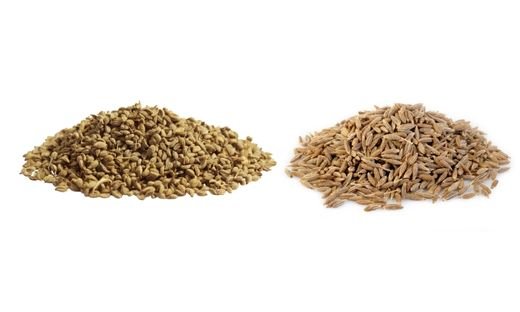 Ajwain vs. Cumin