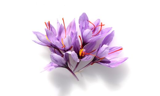 Why is Saffron the World's Most Expensive Spice