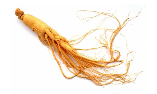 what is ginseng?