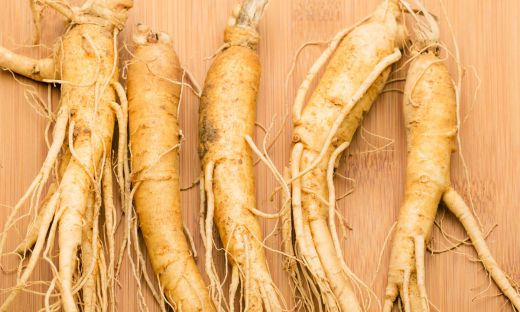 Comparing Wild Ginseng vs. Cultivated Ginseng