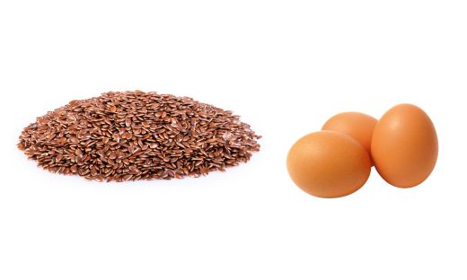 Flax seed as an Egg Substitute: Tips and Tricks