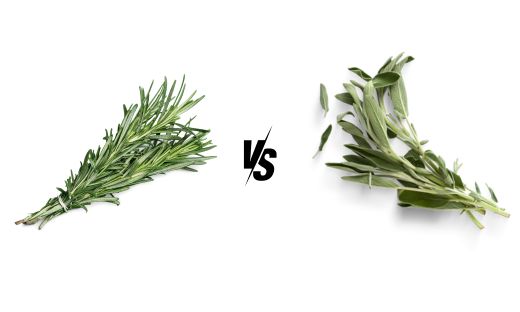Rosemary vs. Sage
